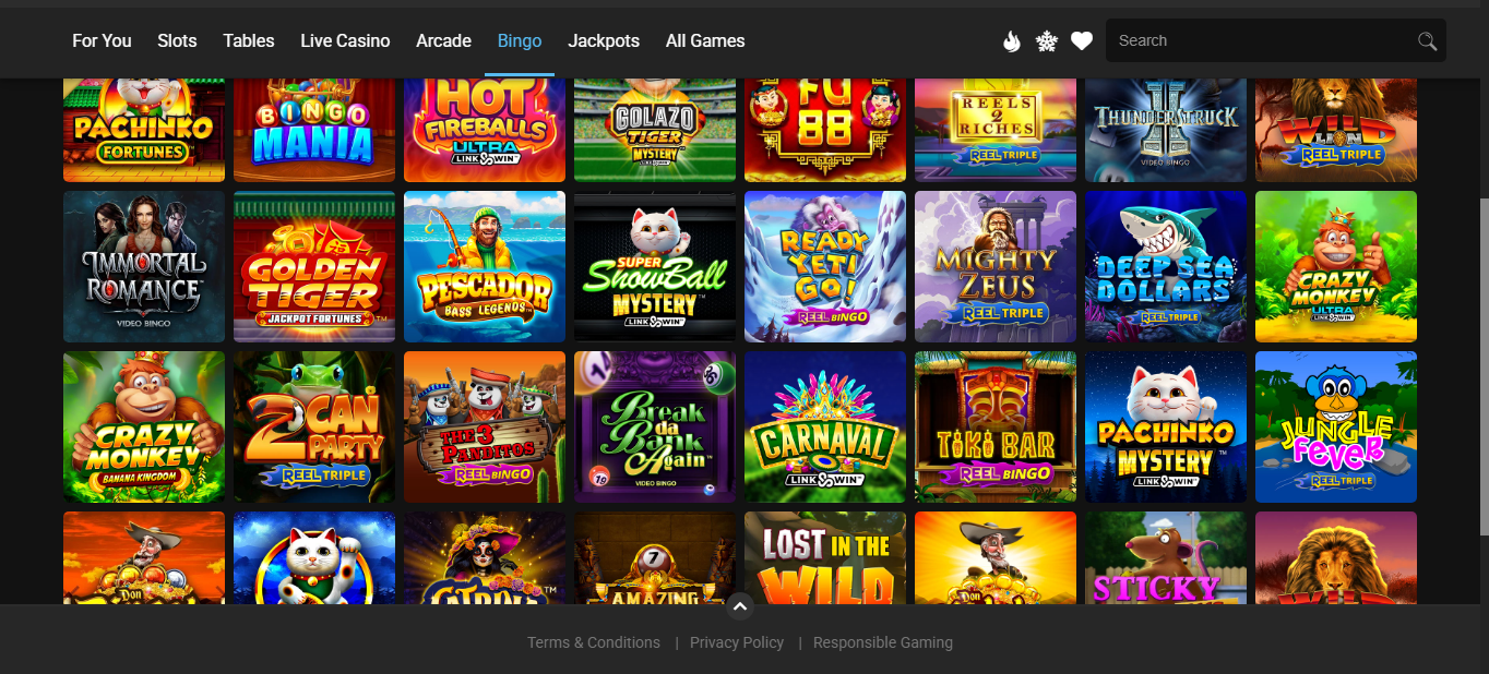 All Slots Casino Ontario bingo and specialty games